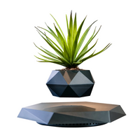 Black Onyx