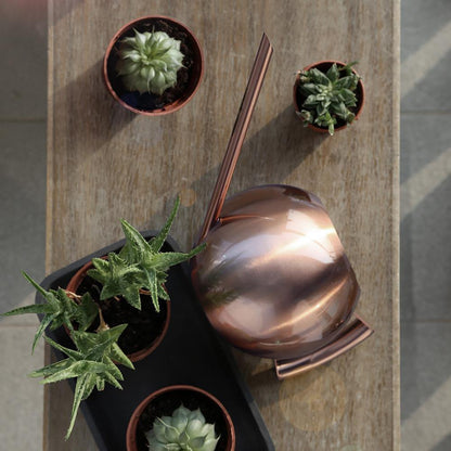 Round Flexible Stainless Steel Watering Can