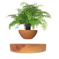 Round Wood