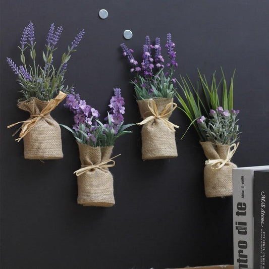 Surrey Compact Magnetic Plants