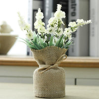 White Geranium