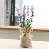 Lavender + Blooms