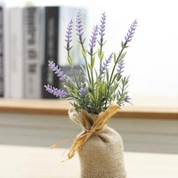 Lavender