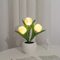 White Tulip