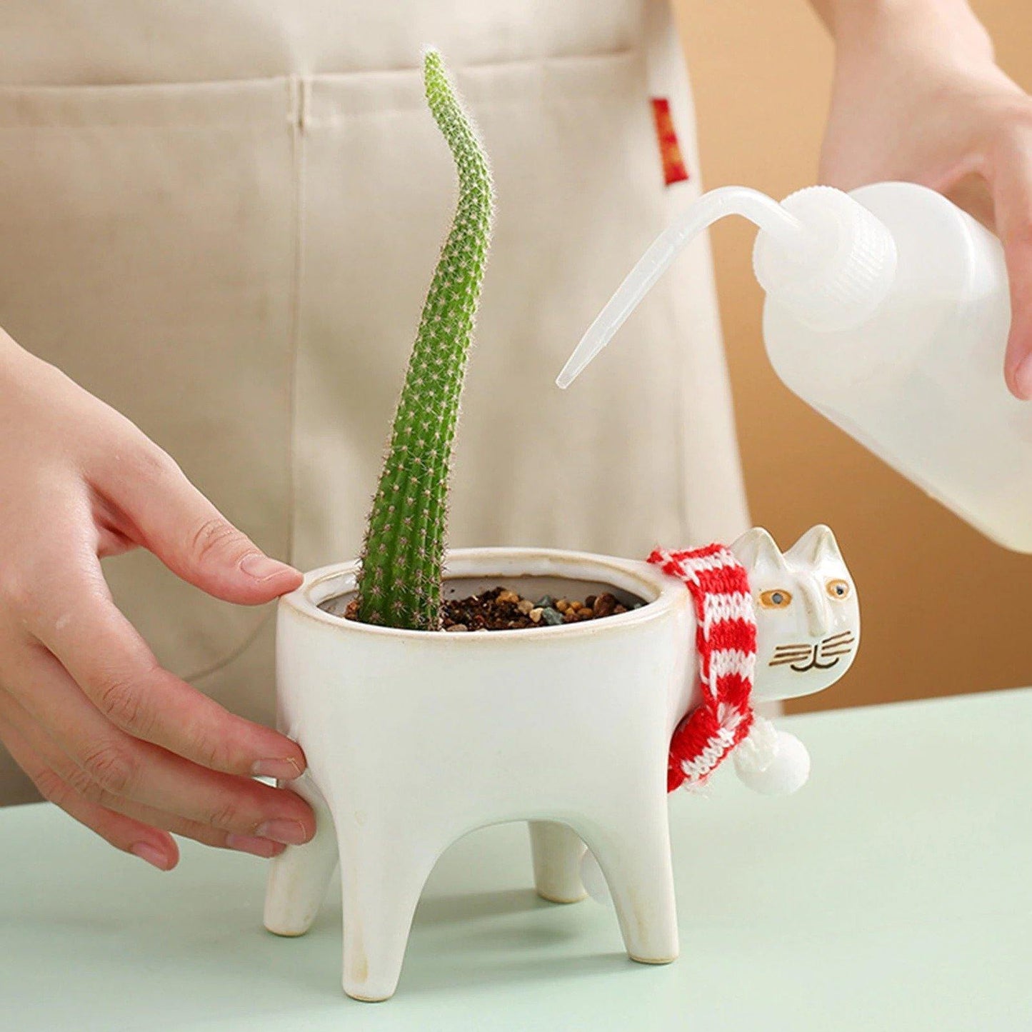 Purrfect Planter