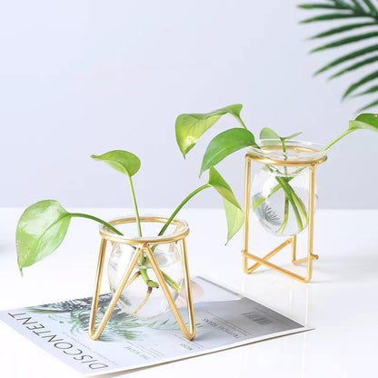 Modern Glass Plant Vase