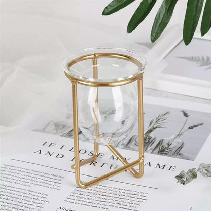 Modern Glass Plant Vase