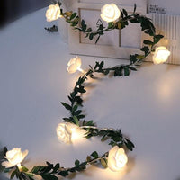 10 LEDs - 5 Feet
