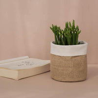 Burlap