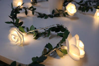 40 LEDs - 20 Feet