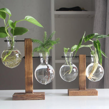 Vertical Bloom Glass Propagator