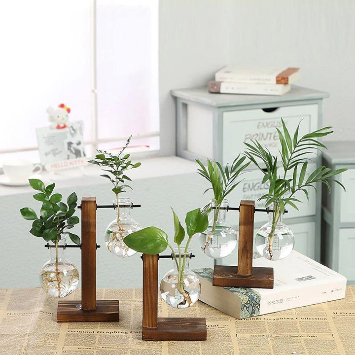 Vertical Bloom Glass Propagator