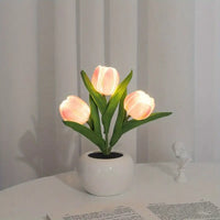 Pink Tulip